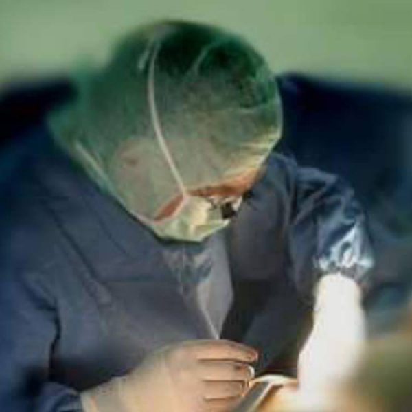 19619453_476031816074131_1085598454_o