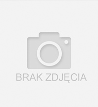 brakzdjecia